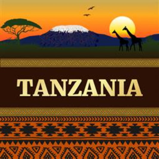 Pocillo Artisan Roast Tanzania Peaberry Coffee - single origin coffee