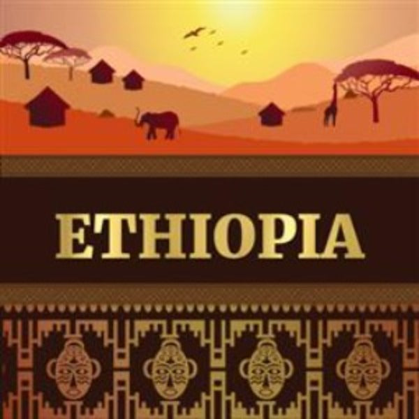 Pocillo Artisan Roast Ethiopia Yirgacheffe Coffee - Single Origin Coffee
